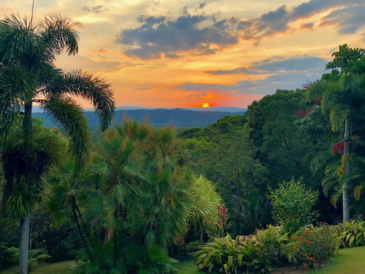 Daintree Manor B&B Luaran gambar