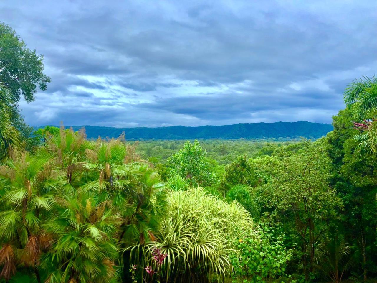 Daintree Manor B&B Luaran gambar