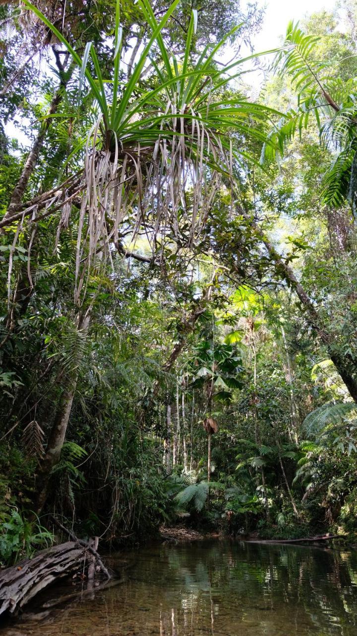 Daintree Manor B&B Luaran gambar